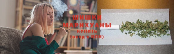 соль ск Пересвет