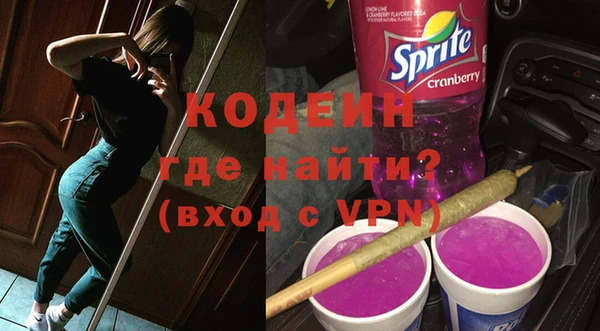 гашик Пестово