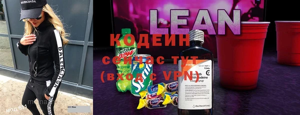 соль ск Пересвет