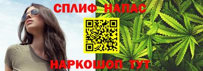 спиды Аргун