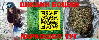 индика Будённовск