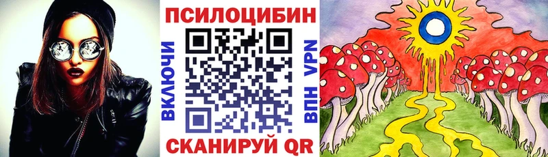 mega   Верхняя Салда  Псилоцибиновые грибы Psilocybe  наркошоп 