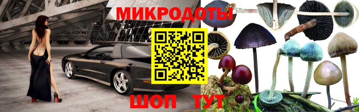 Псилоцибиновые грибы Magic Shrooms  Верхняя Салда  Галлюциногенные грибы GOLDEN TEACHER 