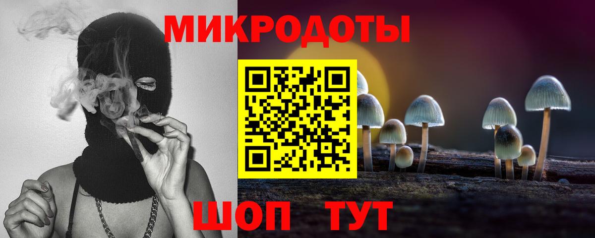 ГАШ Верхняя Салда